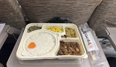 Поднос с бортовым питанием: рис, мясо и овощи